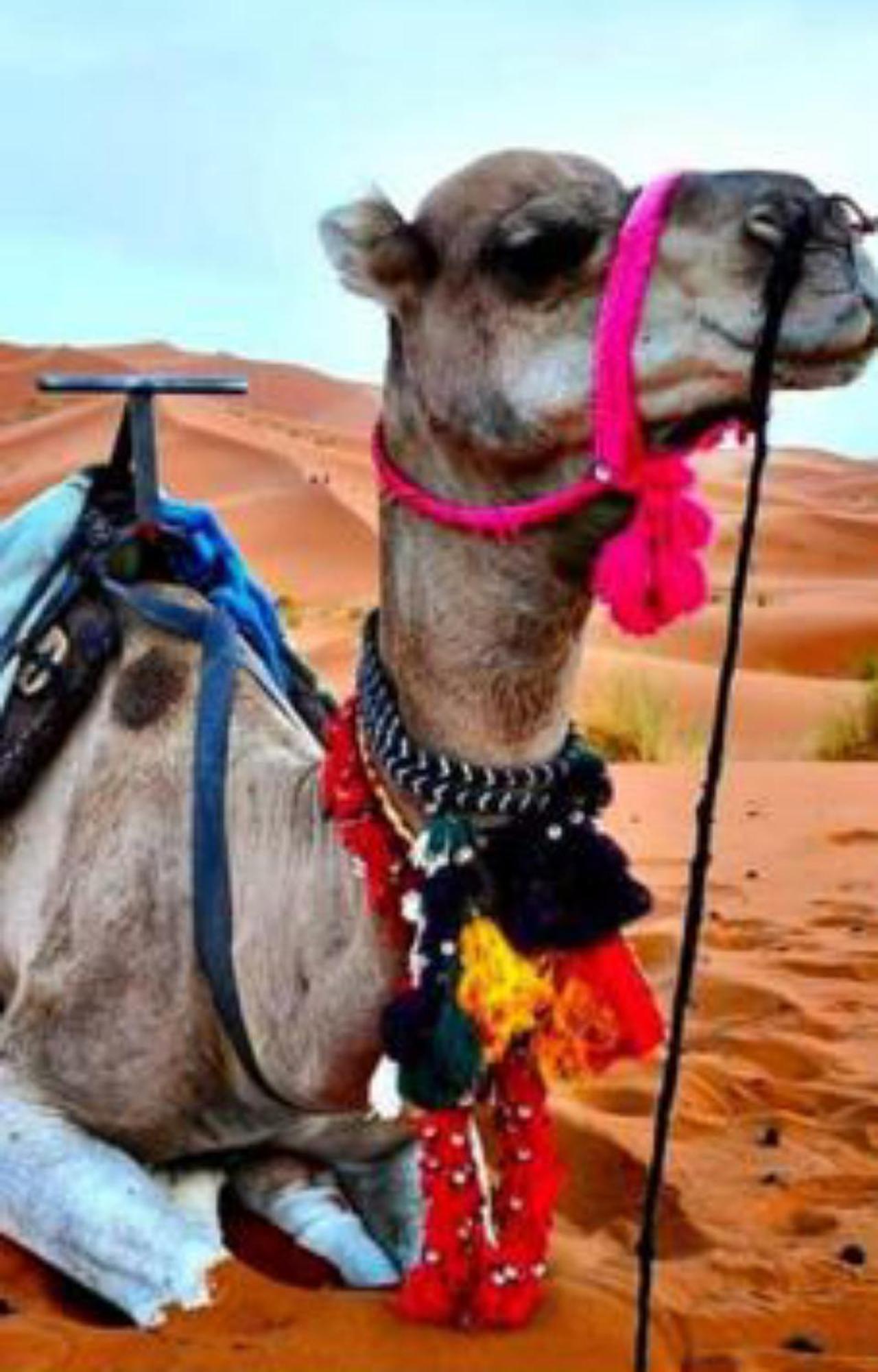 Luxury Desert Camp Merzouga Εξωτερικό φωτογραφία